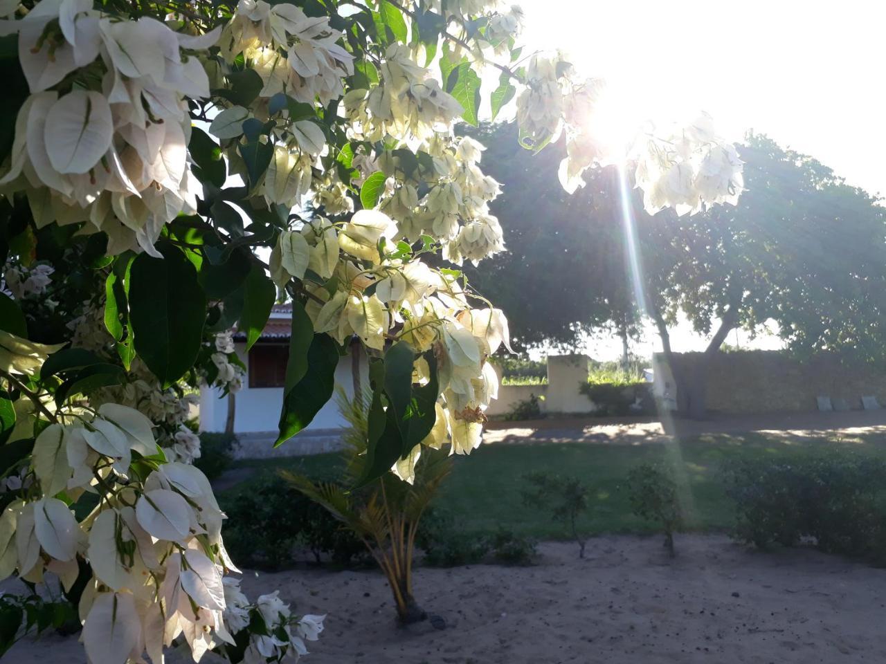 Condominio E Pousada Chales Sossego Do Gostoso Sao Jose  Buitenkant foto